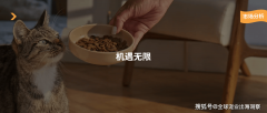 193亿美元！中国宠物财产又破记载了